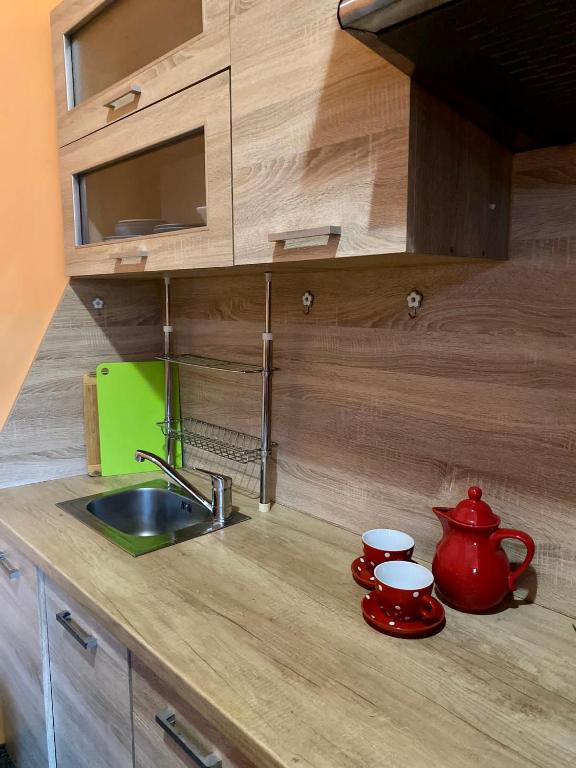 Kuchyň nebo kuchyňský kout v ubytování Thermal Apartments