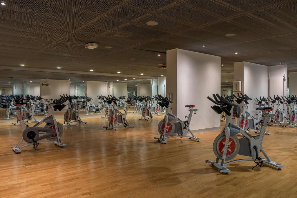 Fitness centrum a/nebo fitness zařízení v ubytování Hilton Geneva Hotel and Conference Centre