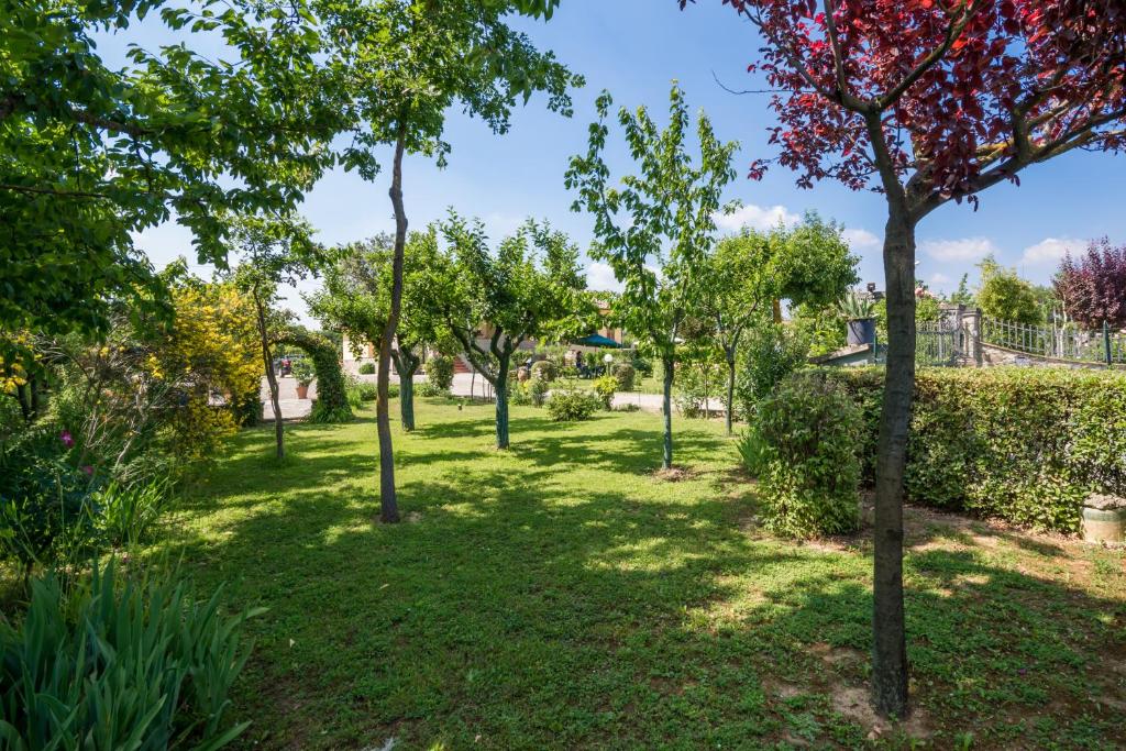 Vonkajšia záhrada v ubytovaní B&B Maesta' Di Cudino