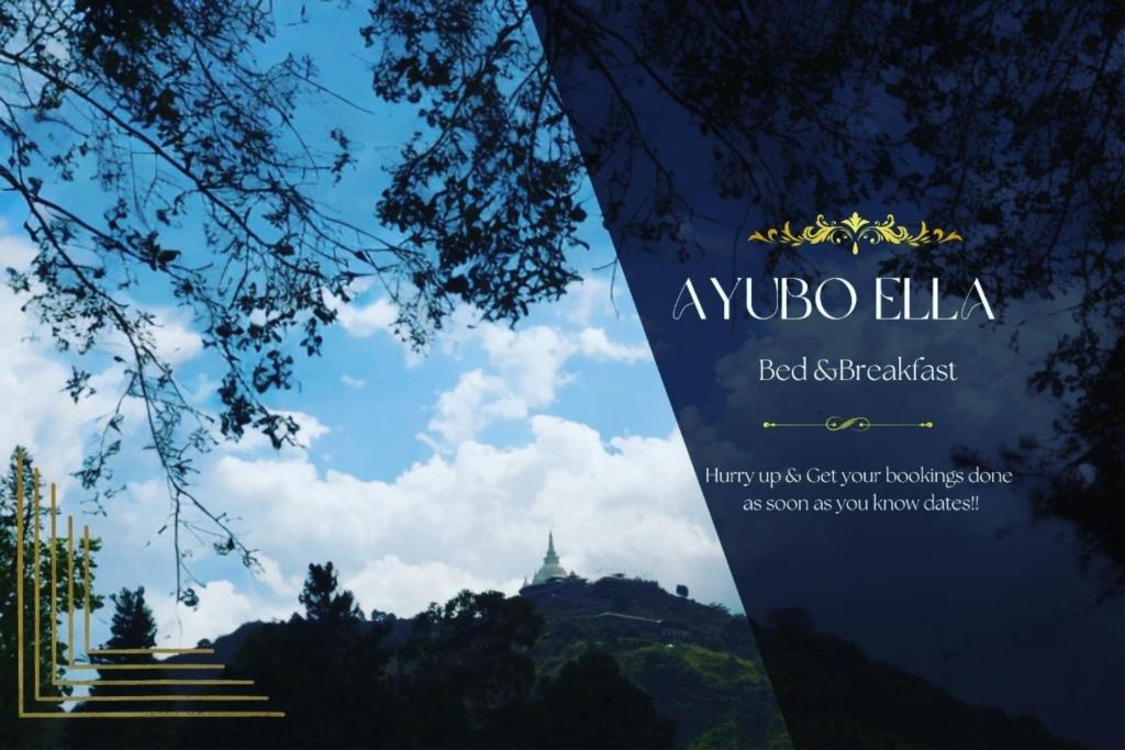 Certifikát, hodnocení, plakát nebo jiný dokument vystavený v ubytování Ayubo Ella - Bed & Breakfast