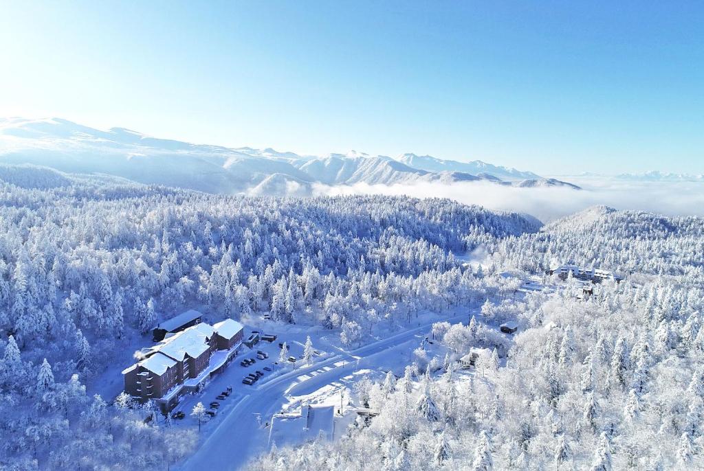 an aerial view of a ski resort in the snow at Higashikawa Asahidake Onsen Hotel Bear Monte in Higashikawa