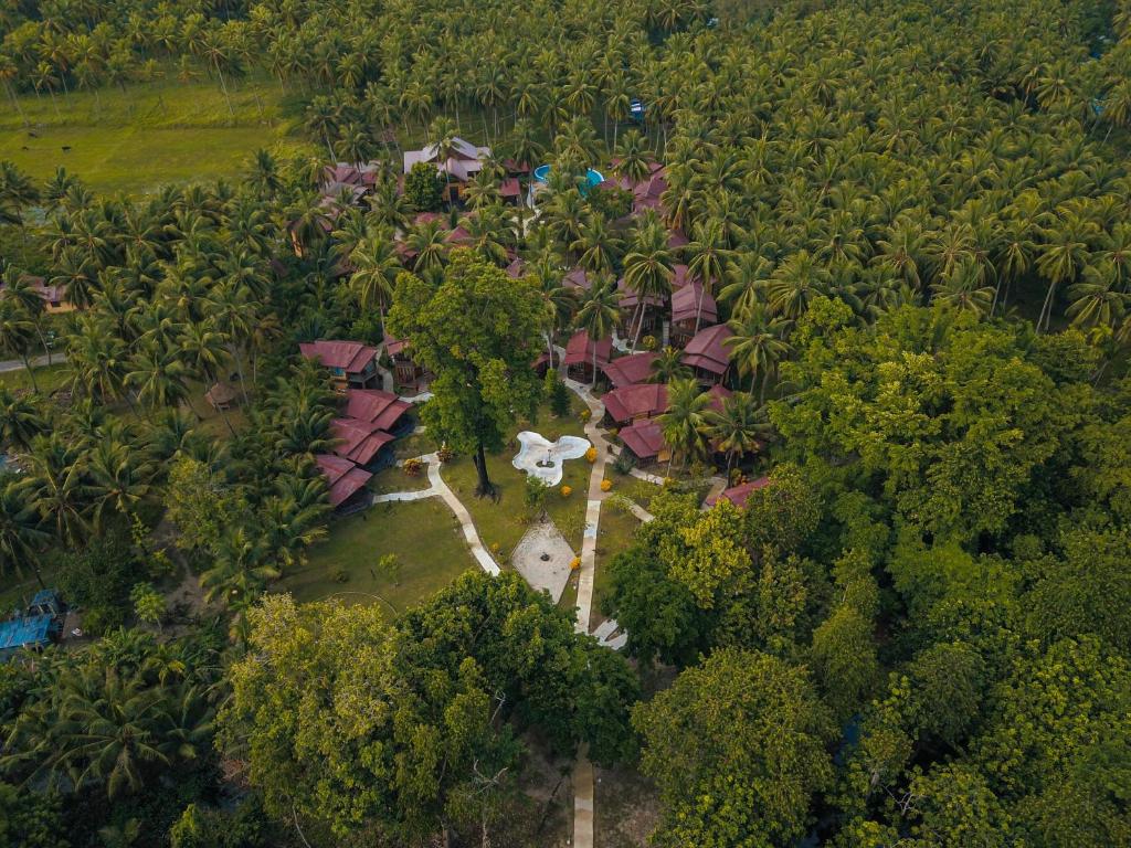 Vue aérienne d'une maison au milieu d'une forêt dans l'établissement Silver Sand Beach Resort Neil, à Neil Island