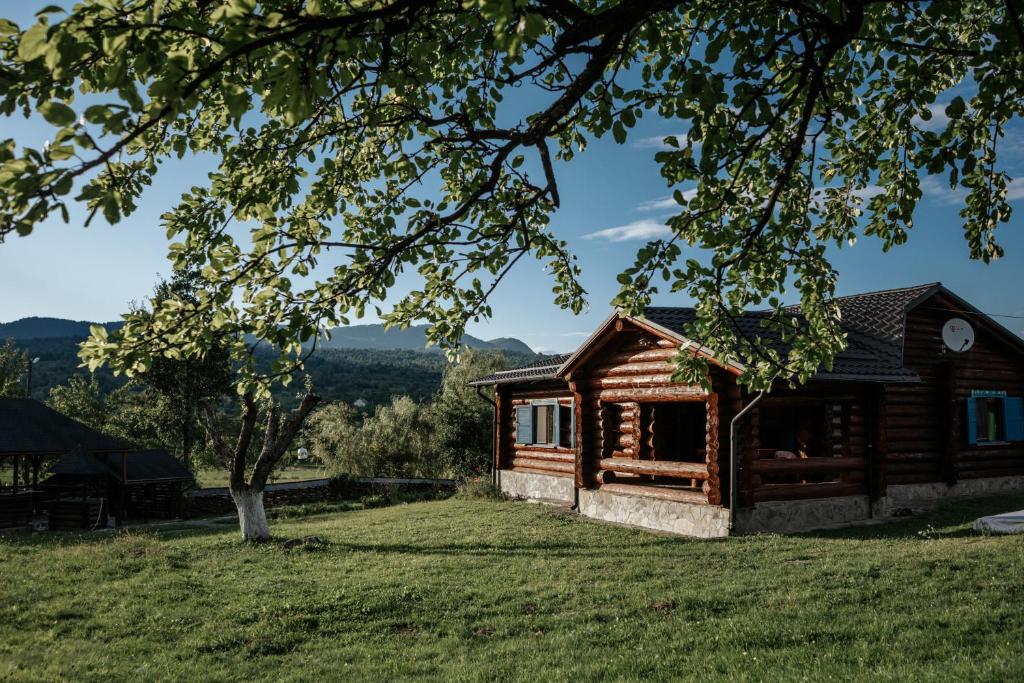 una cabaña de madera en una colina con un árbol en Casa din Busteni, Maramures, en Hoteni