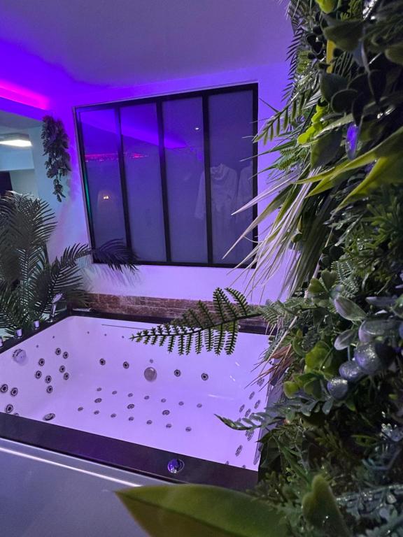 Vonkajšia záhrada v ubytovaní Jungle Love avec Balnéo à 10 min de Disneyland Paris
