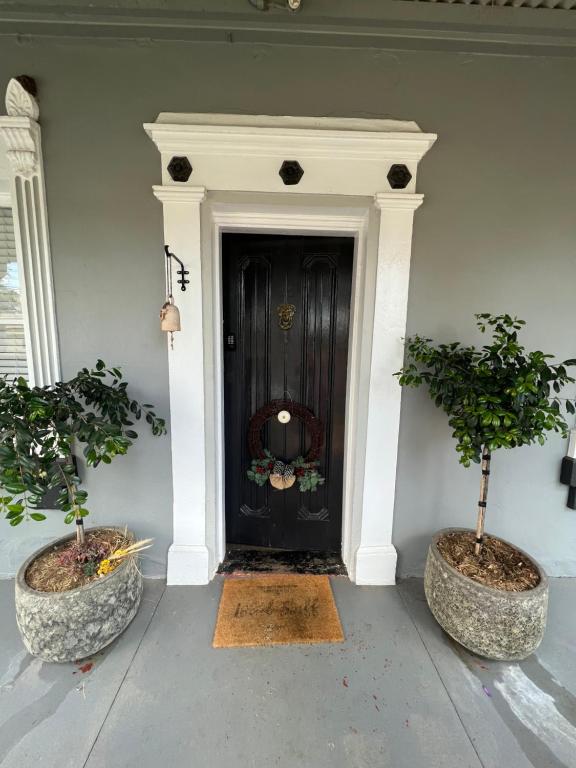 two potted trees in front of a black door at Macleay Cottage with plunge pool and local arts in Dubbo