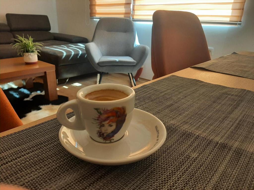Posezení v ubytování Ime Ruze apartmani Banja Vrujci