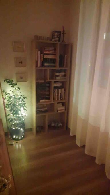 Knihovna v apartmánu