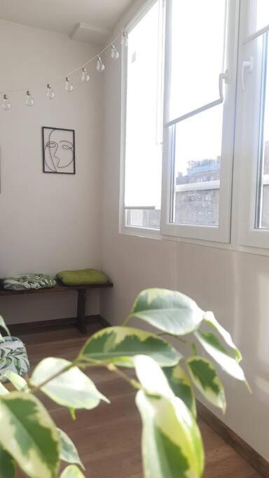 Fotografie z fotogalerie ubytování Specious Modern Apartment v Sofii
