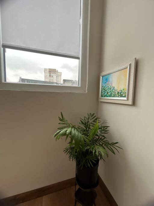 Fotografie z fotogalerie ubytování Specious Modern Apartment v Sofii