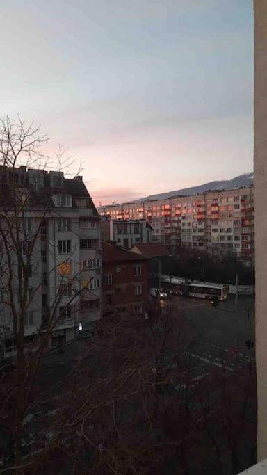 Fotografie z fotogalerie ubytování Specious Modern Apartment v Sofii