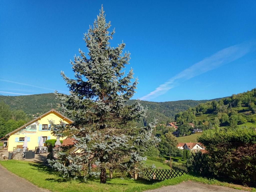 a christmas tree in front of a house at Les Sapins in Bussang