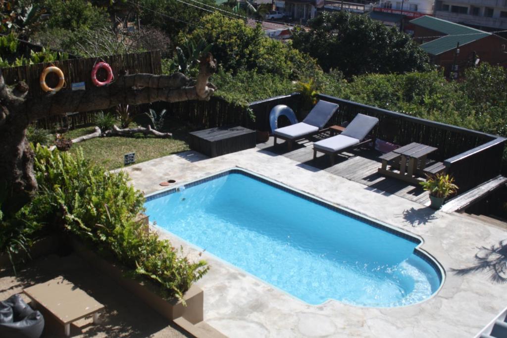 einen Pool in einem Garten mit zwei Liegestühlen in der Unterkunft Planet Scuba Bed and Breakfast in Ponta do Ouro
