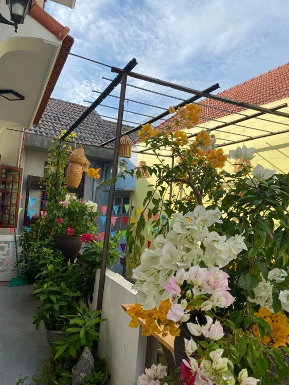 Zahrada ubytování SEVEN HOMESTAY(HUE)