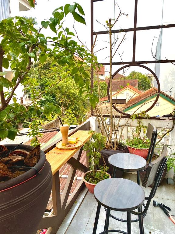 Zahrada ubytování SEVEN HOMESTAY(HUE)