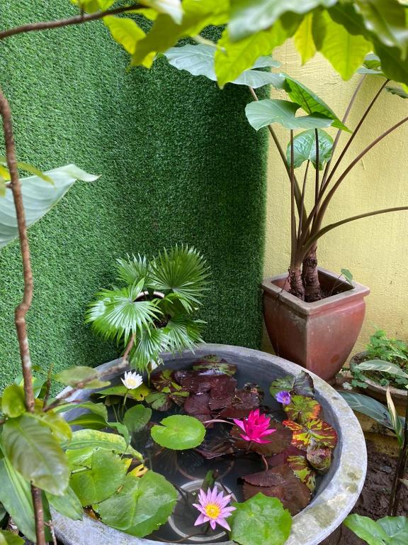 Zahrada ubytování SEVEN HOMESTAY(HUE)