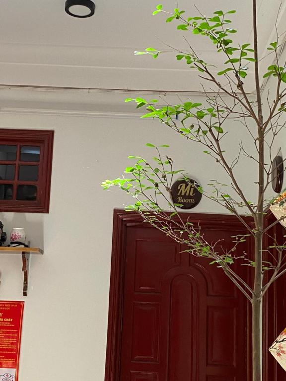 Bố cục SEVEN HOMESTAY(HUE)