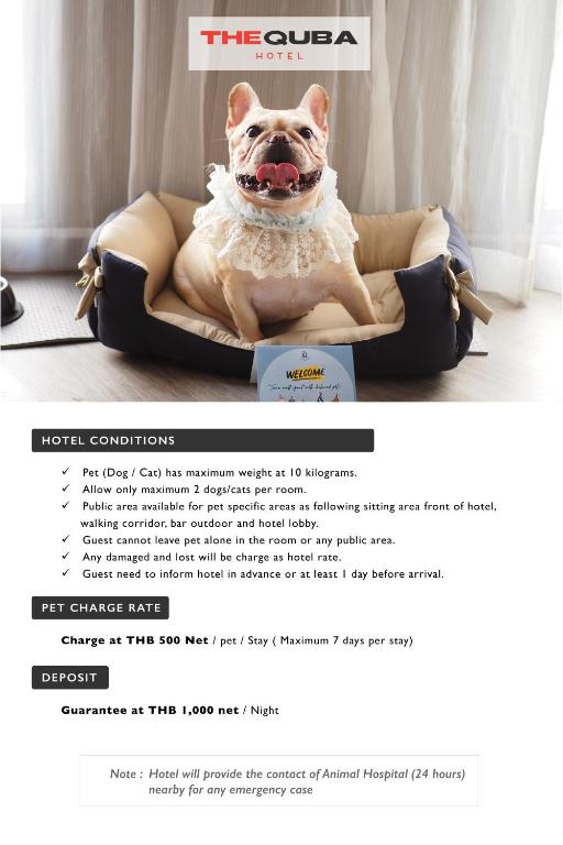 The Quba Boutique Hotel Pattaya - Resim 16