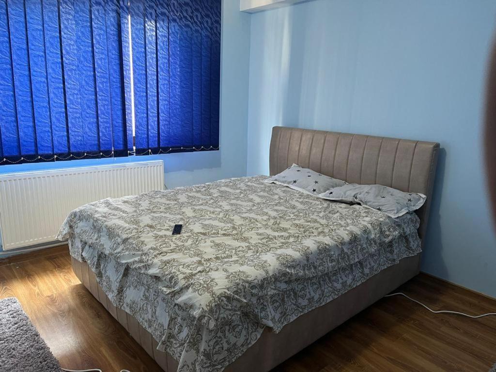 Ce lit se trouve dans une chambre dotée de murs bleus et d'une fenêtre. dans l'établissement MEHTUP SRL, à Piteşti