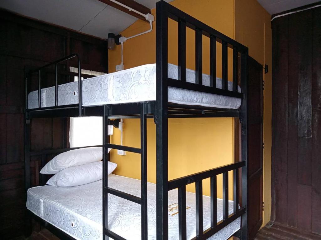 a couple of bunk beds in a room at Imchai in Pai