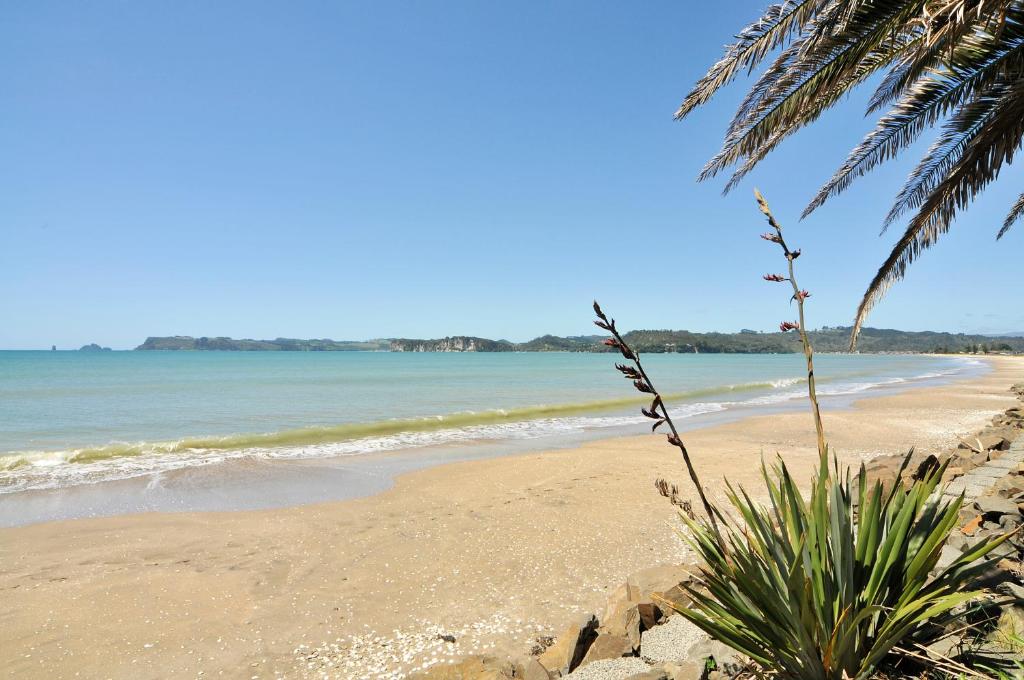 Whitianga Campground - Resim 6