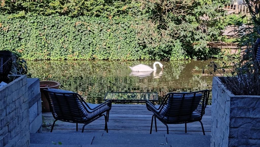 two chairs and a glass table and swan in the water at Canal Garden Apartment StayWell Amsterdam in Amsterdam