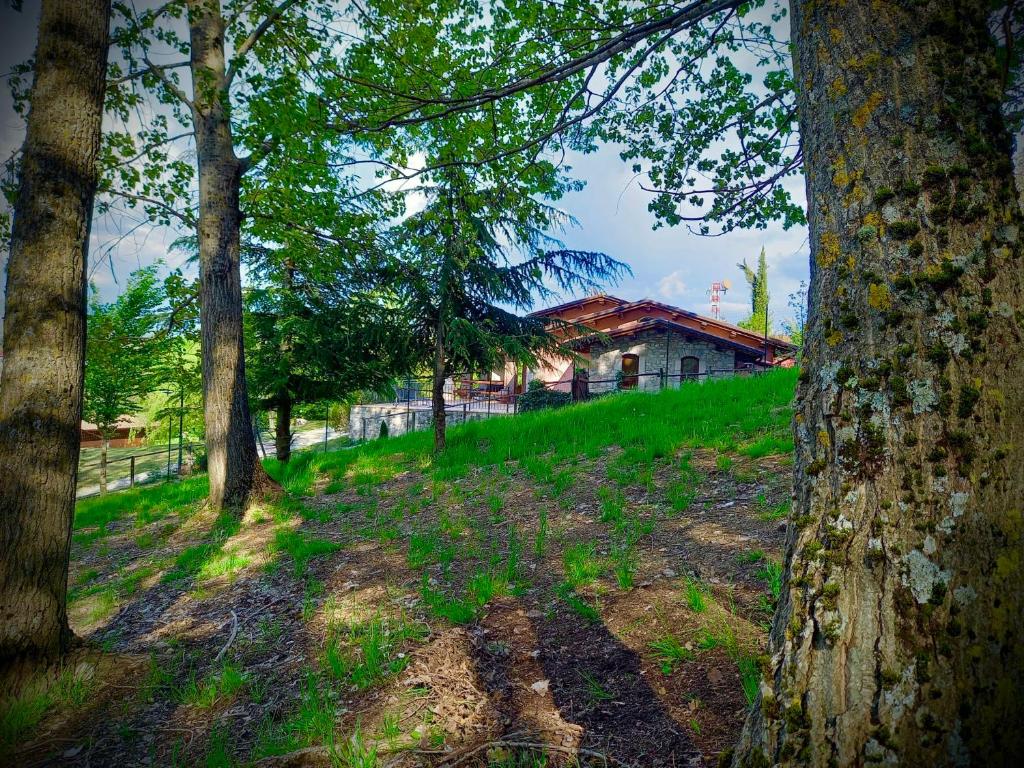 a group of trees in front of a house at Appartamento Vacanze Il Daino in Leonessa