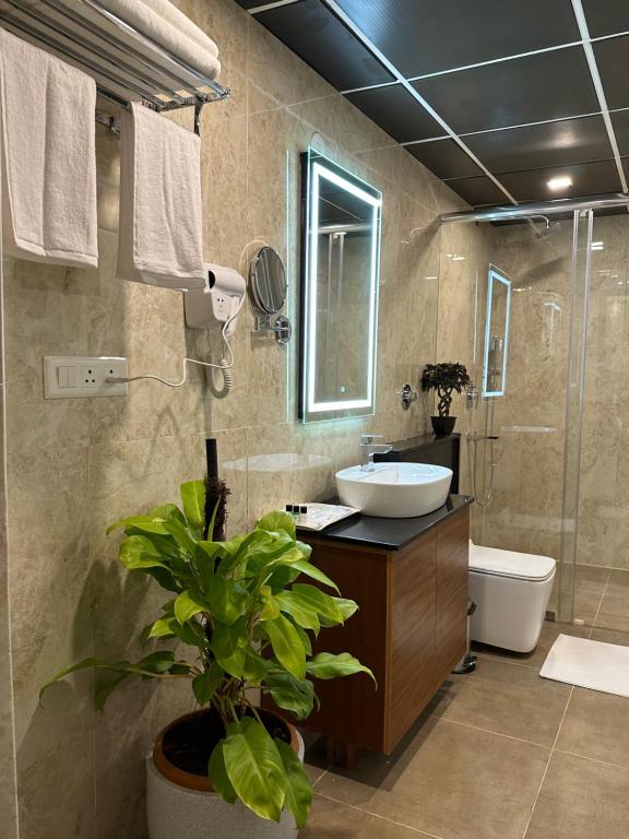 La salle de bains est pourvue d'un lavabo, de toilettes et d'une plante. dans l'établissement ROYAL ACE LUXUR, à Bangalore