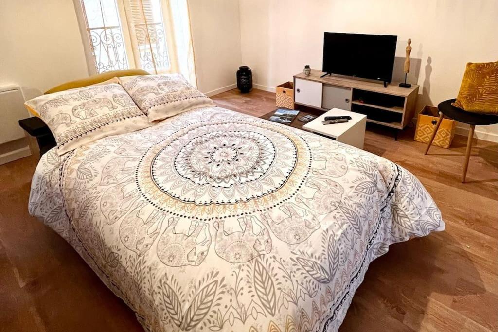 een slaapkamer met een groot bed en een televisie bij Bengale - T2 complétement rénové tout confort in Vichy
