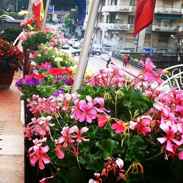 Zahrada ubytování Hotel Portofino