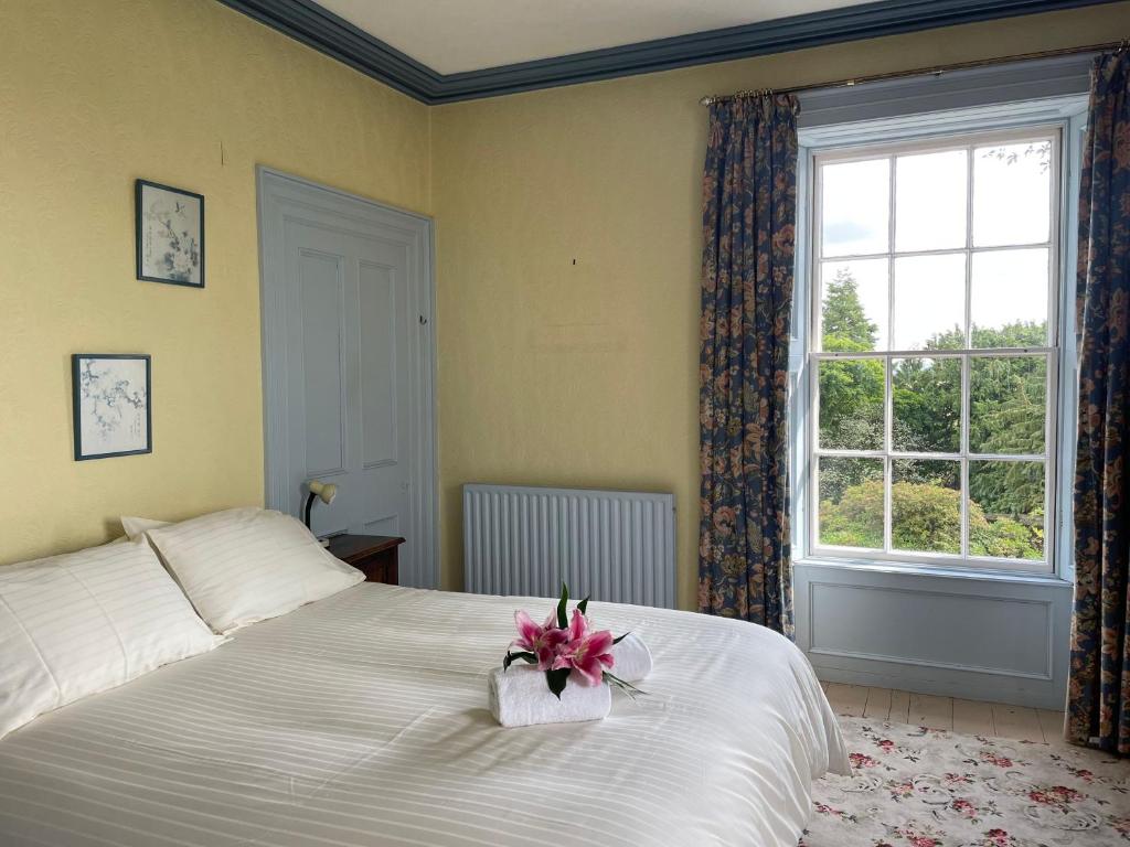 Willowbank House & Farm, Keady Aktualisierte Preise für 2024