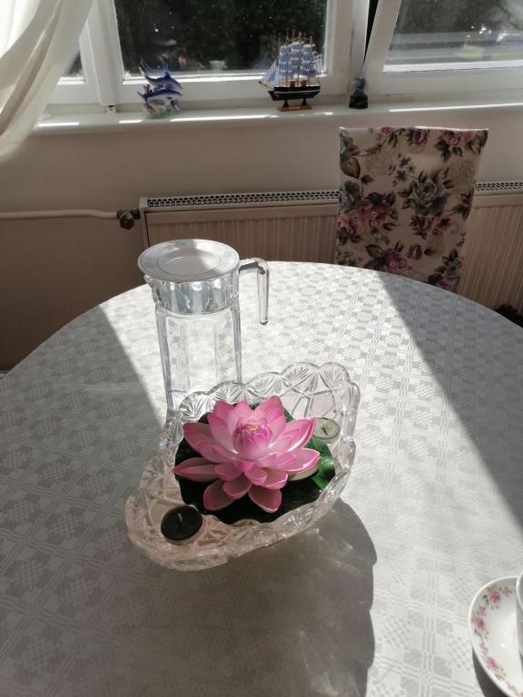 a glass vase with a pink flower on a table at Flowers Apartment Tuzla in Tuzla