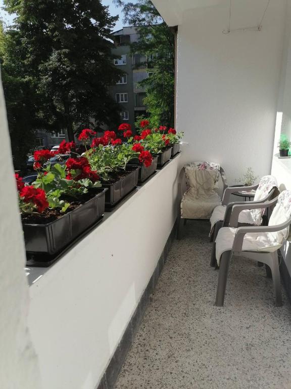 a balcony with some plants on a window sill at Flowers Apartment Tuzla in Tuzla