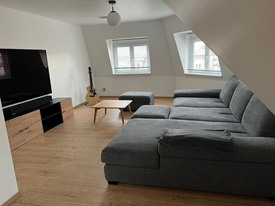 sala de estar con sofá y TV en LE DONJON Appartement 5mn centre ville de Strasbourg Au Calme, en Estrasburgo