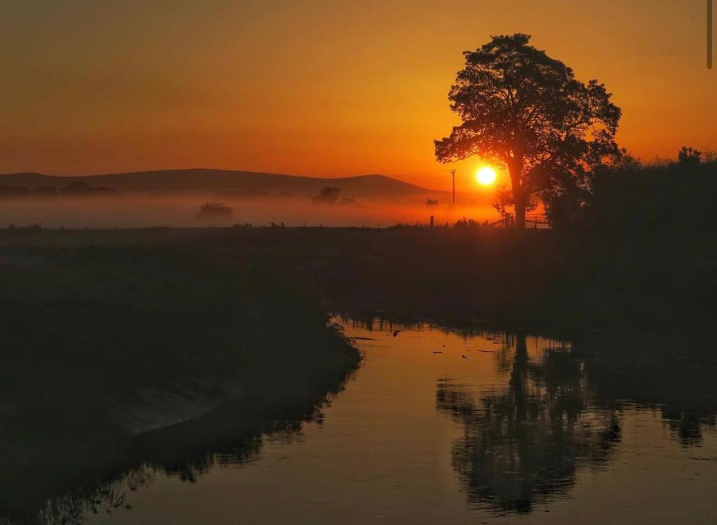 um pôr do sol com uma árvore no meio de um rio em The Cartford Inn em Great Eccleston