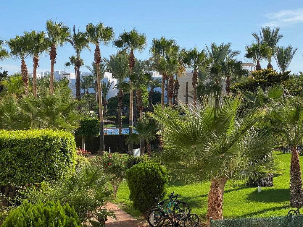 ein Fahrrad in einem Park mit Palmen geparkt in der Unterkunft Discover perfect beach Apartment, only 300m away in Vera