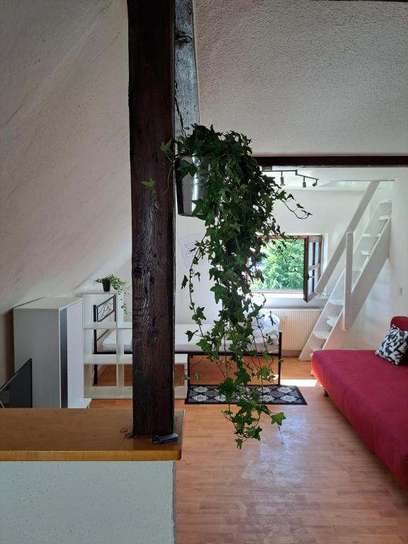 a living room with a couch and a plant at Saaler Pfandl Ferienwohnung zentral gelegen in Saal