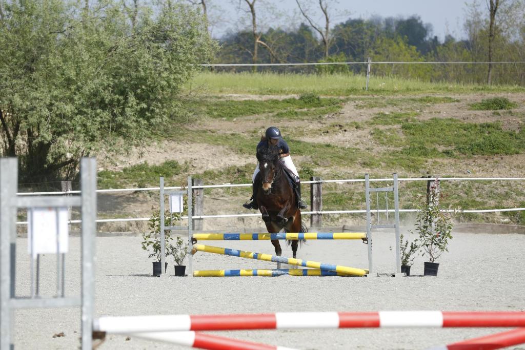 Jízda na koni v farmy nebo okolí