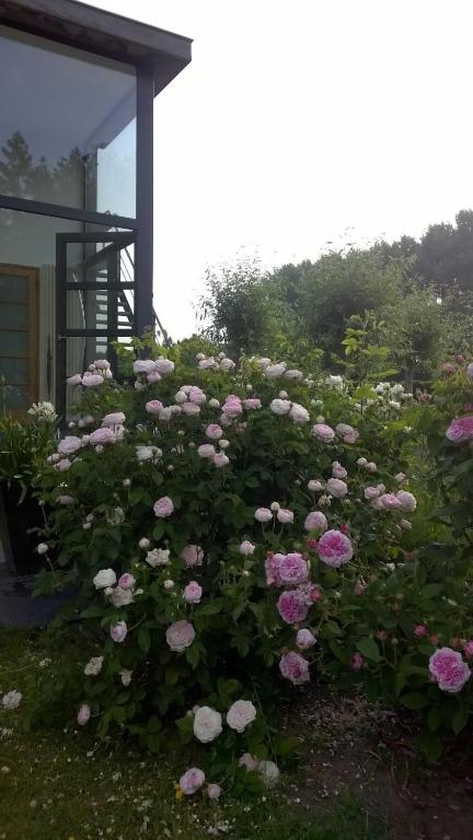Zahrada ubytování B&B Hier en Nu