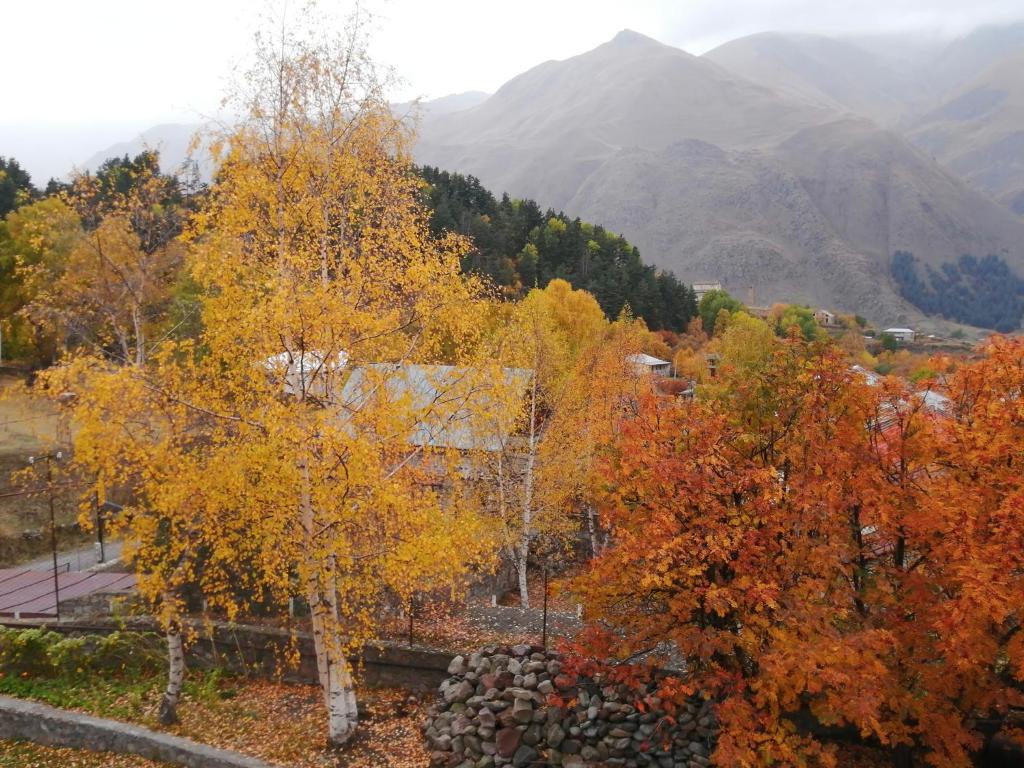 una vista de otoño de los árboles con montañas en el fondo en Garemta, en Kazbegi