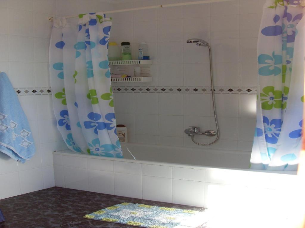 Canillas de AceitunoにあるCasa Pilarのバスルーム(バスタブ、シャワー、シャワーカーテン付)が備わります。