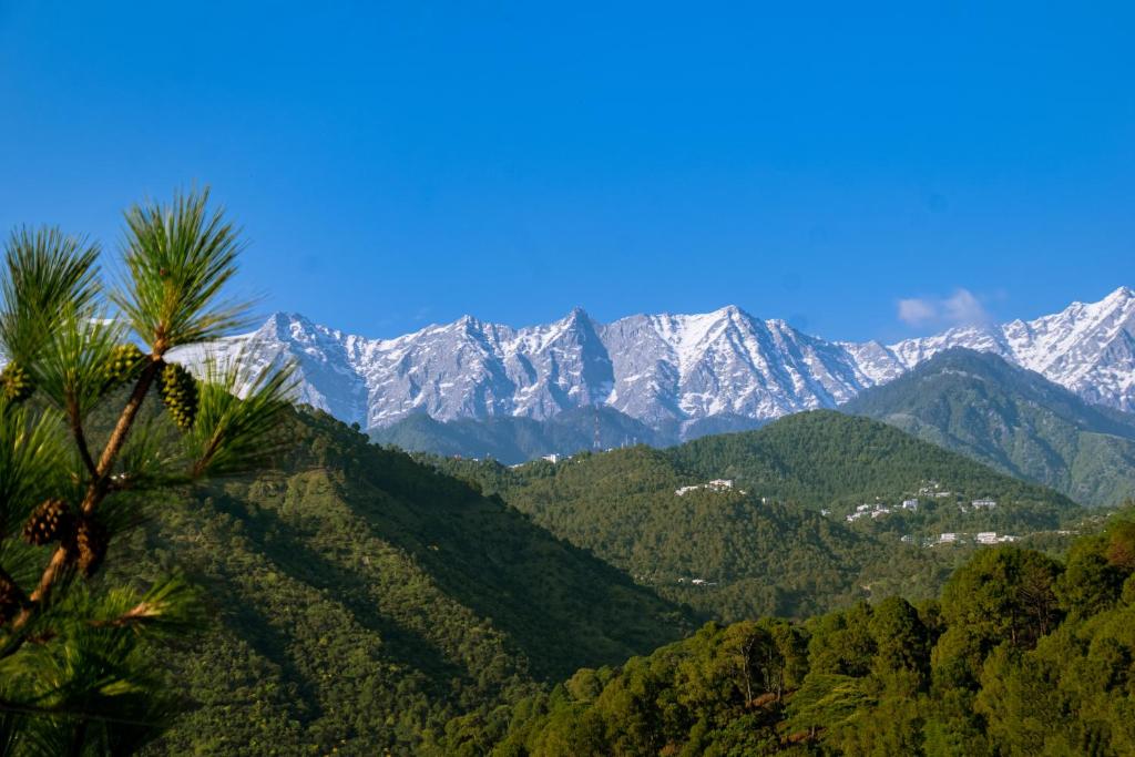 Dhauladhar View Village Resort - Chambre Roi Avec Vue Sur La Montagne