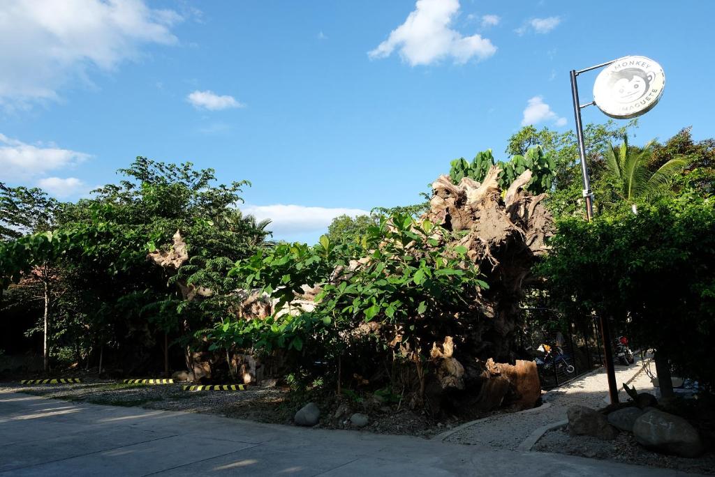Fotografie z fotogalerie ubytování Mad Monkey Dumaguete v destinaci Dumaguete