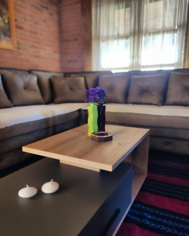 Posezení v ubytování Rustic House Radovic