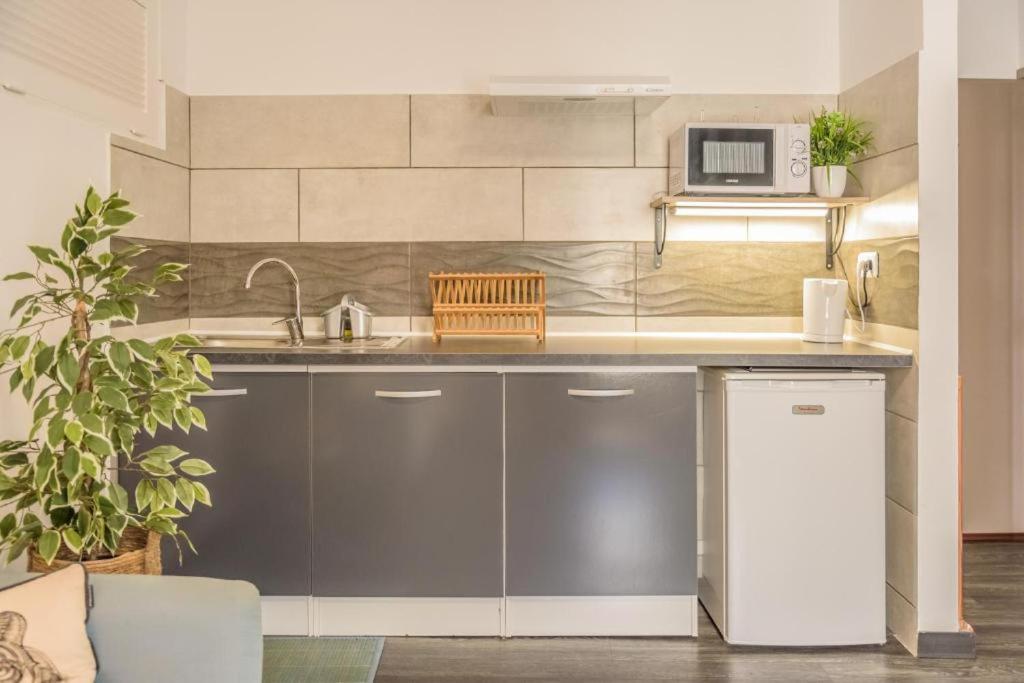Kuchyň nebo kuchyňský kout v ubytování 1A - Chambres et Appartements au calme - Centre St Denis - Barachois