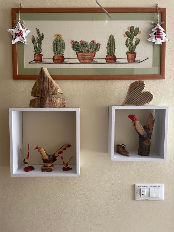 two shelves with cacti and plants on a wall at Monolocale piccolo ed accogliente - CIR 0021 - in Aosta