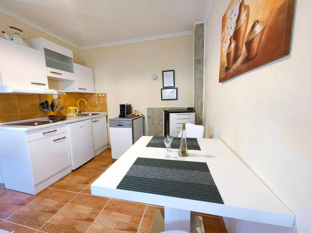 Kuchyň nebo kuchyňský kout v ubytování Apartmani Sabina