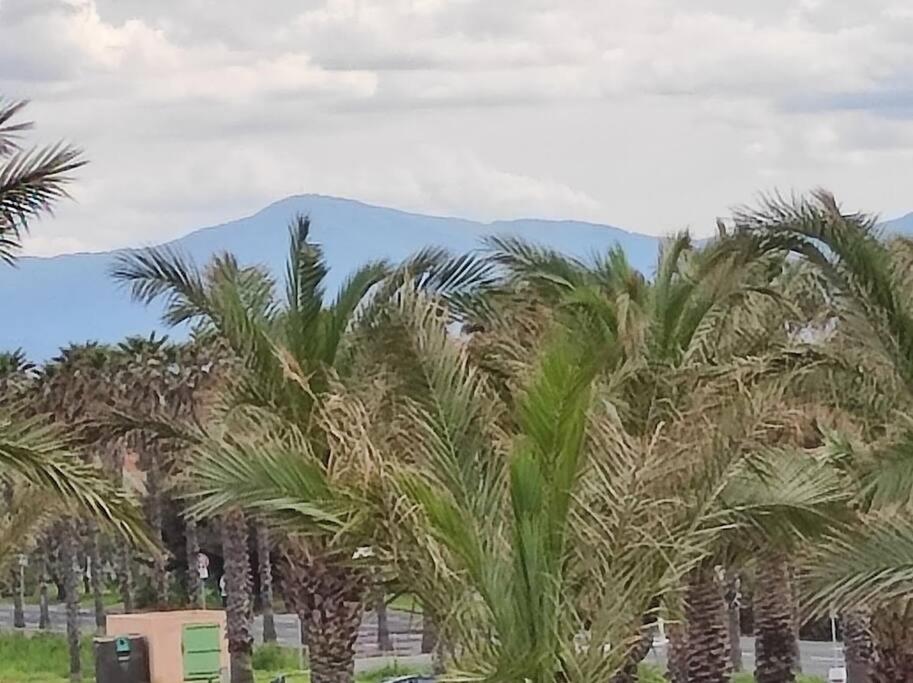 a group of palm trees with a mountain in the background at Charmant appartement à Sainte Marie la mer (66470) in Sainte-Marie-Plage