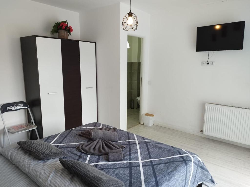 Postel nebo postele na pokoji v ubytování Vila ANA