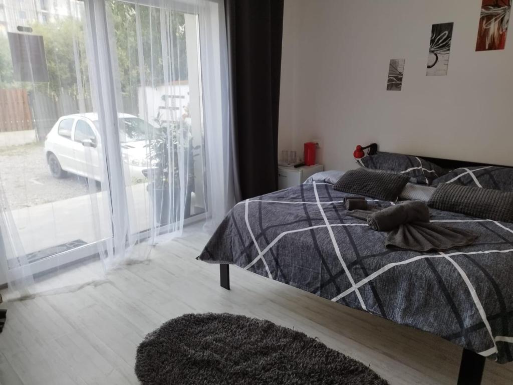 Postel nebo postele na pokoji v ubytování Vila ANA