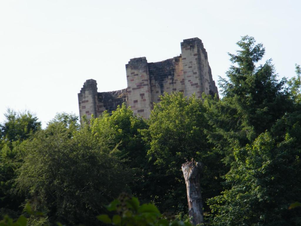 an old castle on top of some trees at Chez Laurent et Sandrine in Chantraine